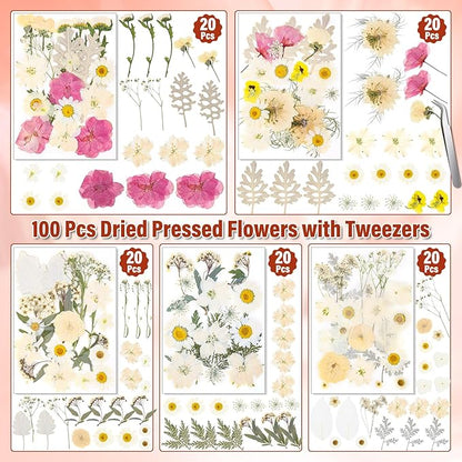 Dried Pressed Flowers for Resin, Real Pressed Flowers Dry Leaves Bulk Natural Herbs Kit for Scrapbooking DIY Art Crafts Epoxy Resin Jewelry Mold Candle Soap Making Nails Décor (White & Pink Floral)