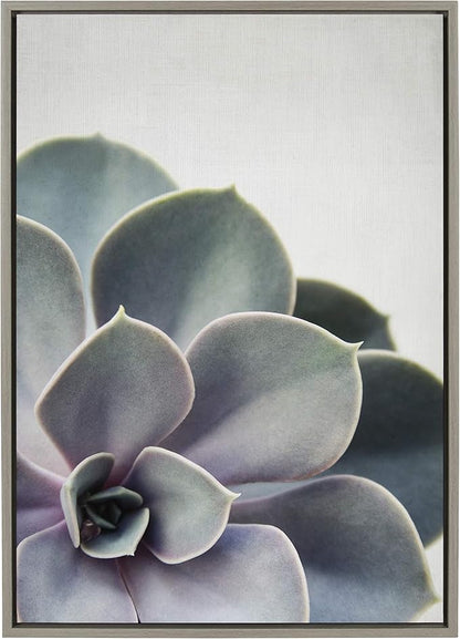 Kate and Laurel Sylvie Succulent 5 Framed Canvas by F2 Images, 23x33 Gray