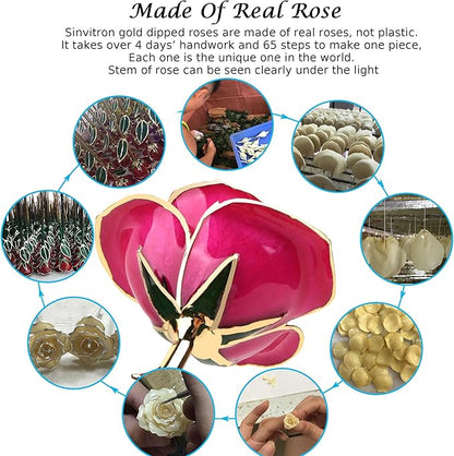 Sinvitron Gold Dipped Infinity Rose Forever Flower Decor, Resin Preserved Real Rose Birthday Gift for Women, Anniversary Present for Mom (Rose Red)