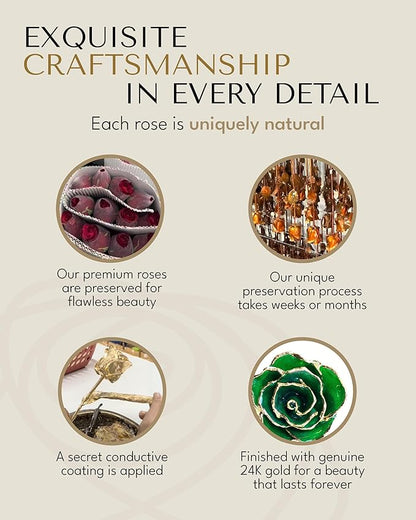 Forever Rose Hand-Dipped in 24K Gold, Emerald-Inspired May Birthstone with Sparkles, Real Rose in Leather Case with LED Light – Perfect Ready to Gift for May Birthday or Any Occasion