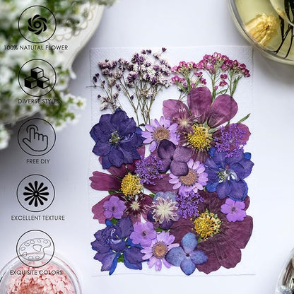 30Pcs Dried Pressed Natural Flowers for Resin Molds Real Pressed Flowers Dry Leaves Bulk Natural Herbs Kit for DIY Scrapbooking Art Crafts Jewelry Molds Candle Soap Making Nails Decor (Purple)