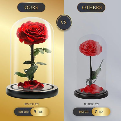Forever Preserved Rose - Eternal Rose in Glass Dome - Beauty and The Beast Rose for Mom - Fresh Flowers in Glass (Red, 9 Inch)
