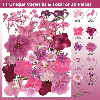 30Pcs Dried Pressed Natural Flowers for Resin Molds Real Pressed Flowers Dry Leaves Bulk Natural Herbs Kit for DIY Scrapbooking Art Crafts Jewelry Molds Candle Soap Making Nails Decor (Pink)