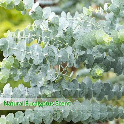 Real Dried Eucalyptus Stems, 20PCS Preserved Eucalyptus Plant 17inch Fresh Eucalyptus Greenery Plant for Vase Home Shower Wedding Festival Home Decoration