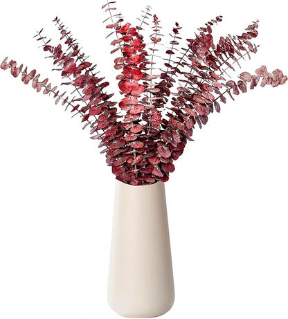 (20Pcs) Dried Eucalyptus Stems - Red, Fall Decorations for Home, Real Long Eucalyptus, Dried Flowers for Vase, 17" Floral Arrangement, Wedding