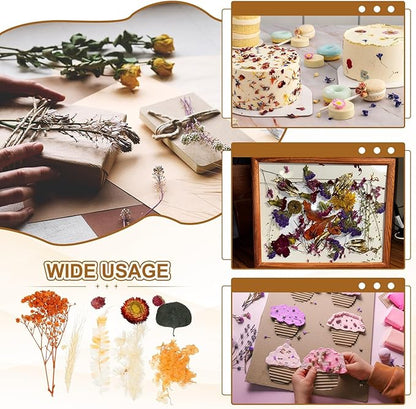 uxcell Natural Dried Flower Set, Dried Pressed Flowers Dry Leaves Bulk Natural Plants Kit Dried Flower Bouquets for Scrapbooking Crafts Resin Jewelry Candle (Orange)