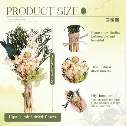 Layhit 12 Pack Boho Dried Flower Bouquet Mini Wedding Handmade Dry Flowers Decor for Vase Crafts DIY Photo Boutonniere for Men Floral Plant for Bridesmaid Gift Birthday Decor(Fresh)