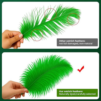 Piokio 20pcs Natural Green Ostrich Feathers 10-12 inch (25-30cm) Bulk Feathers for Home Decoration and DIY Clothing and St. Patrick Decoration, Gatsby Decorations