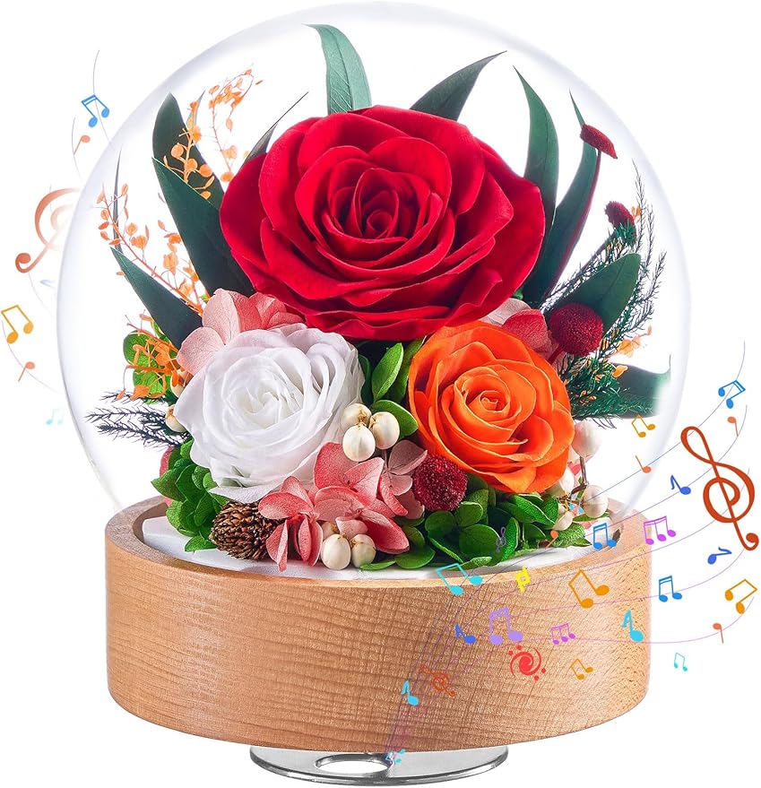 Eterfield Flowers for Delivery Prime, Christmas Preserved Roses Gifts for Women - Forever Flower in Glass Dome Birthday Gifts for Mom Wife Grandma Her Valentine’s Day (Red, Sphere)
