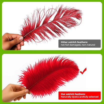 Piokio 20pcs Natural Red Ostrich Feathers 10-12 inch (25-30cm) Bulk Feathers for Wedding Party Centerpieces, Home Decoration and DIY Clothing, Gatsby Decorations