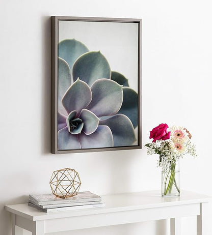 Kate and Laurel Sylvie Succulent 5 Framed Canvas by F2 Images, 18x24 Gray