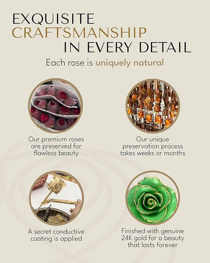 Forever Rose Hand-Dipped in 24K Gold, Peridot-Inspired August Birthstone with Sparkles, Real Rose in Luxury Gold Gift Box – Perfect Ready to Gift for August Birthday or Any Occasion