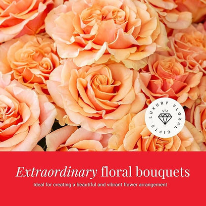 BloomsyBox- Peach Roses - 24 Long Stems, Long Lasting, Hand-Tied in Eco-friendly, Vase Not Included, Fresh Flowers for Delivery – Gift for Birthday, Anniversary, Get Well, Congratulations, Wedding