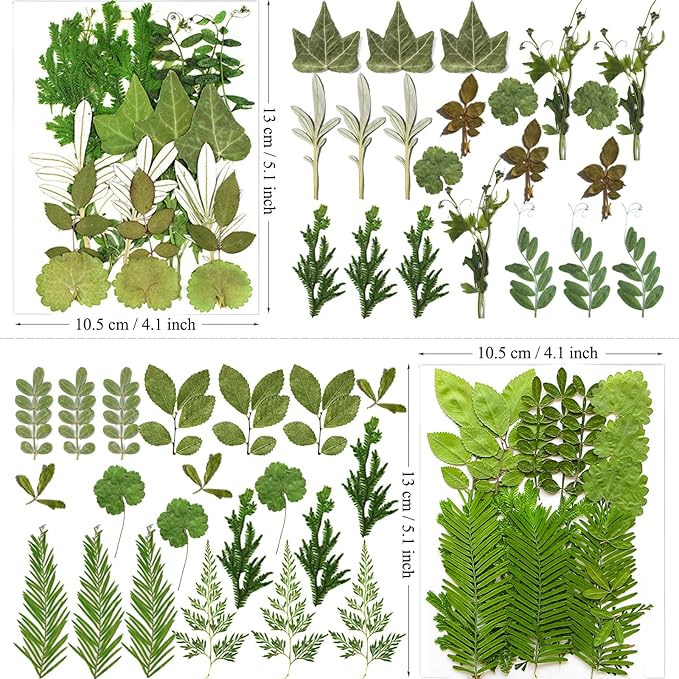 84Pcs Pressed Dried Leaves for Resin Molds, Assorted Real Natural Bulk Dry Flowers for DIY Art Crafts, Epoxy Jewelry, Candle, Soap Making, Nails Decors Gifts