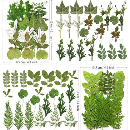 84Pcs Pressed Dried Leaves for Resin Molds, Assorted Real Natural Bulk Dry Flowers for DIY Art Crafts, Epoxy Jewelry, Candle, Soap Making, Nails Decors Gifts