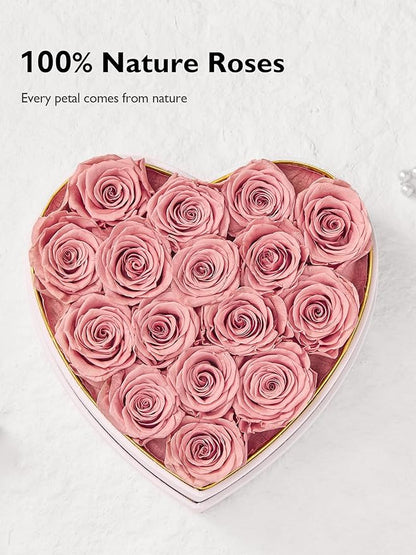 Eterfield 16 Forever Flowers in Heart Shape Box, Preserved Roses That Last a Year Preserved Flowers Birthday Gifts for Her Mom Women Wife Anniversary Valentines Day Mothers Day Christmas, Dusty Pink