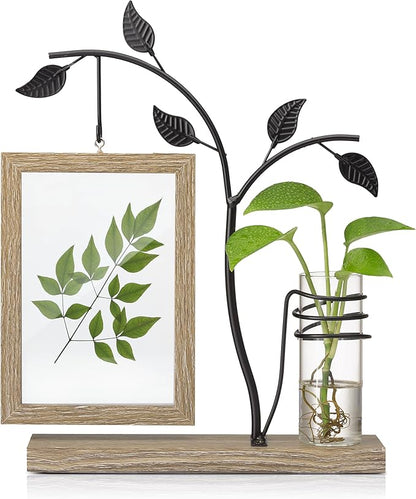 Afuly 4x6 Picture Frame Potted Plants Desk Photo Frames with Metal Stand Glass Vase, Rustic Double Sides Display Wood Frame Wedding Birthday Gifts for Couple Mom Grandma Women