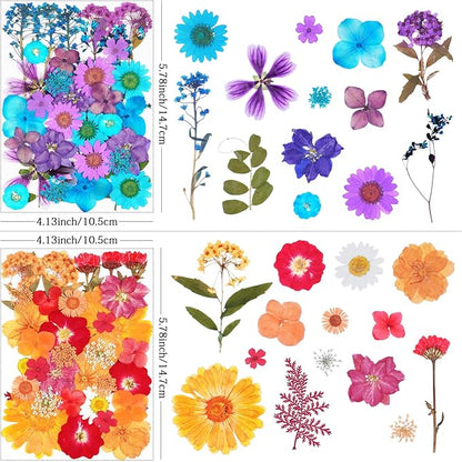 141Pcs Dried Pressed Flowers for Crafts,Xinxinran Dry Flower Kit for Resin Molds,Epoxy Resin Accessories,Bookmark,Nails, Jewelry Molds,Candle Making Supplies,Soap,Frame(Mixed Color)
