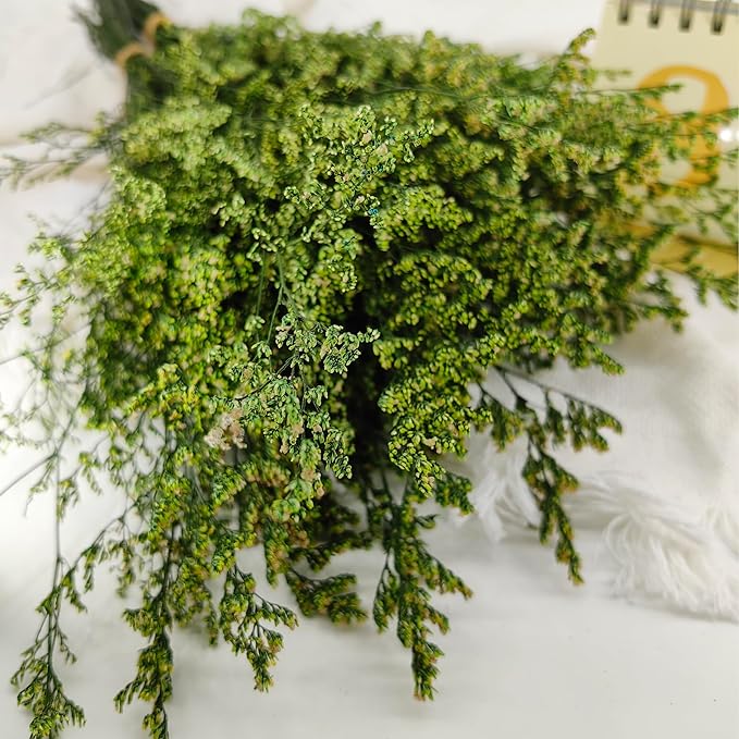 Birtlynn Preserved Caspia Statice Flower Bouquets, 100% Natural Long Lasting Flowers, 17 Inch Arrangements for Vase, Home Decoration Photo Props Parties and Weddings, DIY Décor-Statice Green