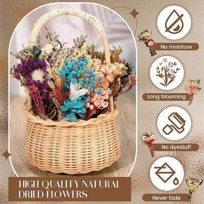 Layhit 12 Pack Boho Dried Flower Bouquet Mini Wedding Handmade Dry Flowers Decor for Vase Crafts DIY Photo Boutonniere for Men Floral Plant for Bridesmaid Gift Birthday Decor(Colorful)