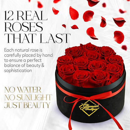 GLAMOUR BOUTIQUE Flowers Forever Gift Box 12 Real Preserved Roses in a Velvet Black Box, Birthday for Her Mom and Wife, Mothers Day, Anniversary, Graduation - Red