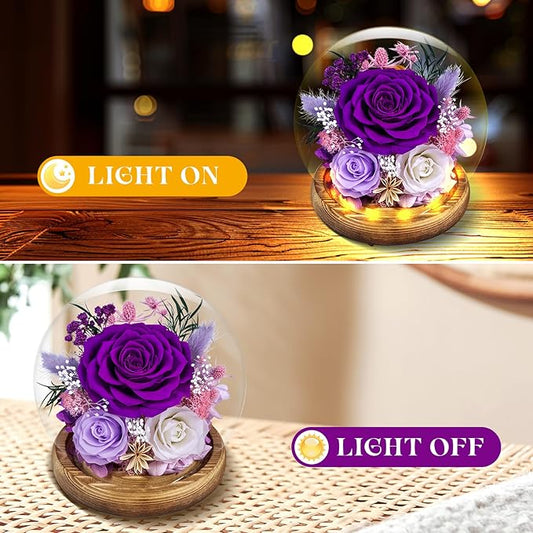 Preserved Roses Forever rose in glass dome - Birthday Gifts for Women Mom, Real Flowers for Delivery Prime | Rose Gift for Grandma Wife Sister Friend(Mix purple)