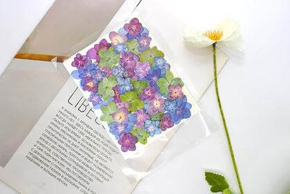 50 Pcs Mixed Hydrangea Dried Pressed Flowers for Crafts,Real Nature Dry Flower Bulk for Resin Jewelry Making Candle Making Frame Decoration Art Floral Decors