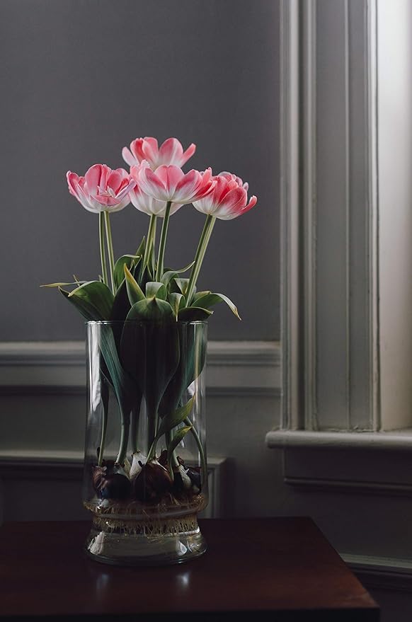 WGV Unique Bouquet Vase, 5.5" W, 8" H, Clear Short Hurricane Glass Candle Holder, Floral Planter Terrarium, Home Wedding Event Decor, 1 Piece (VHV0808)