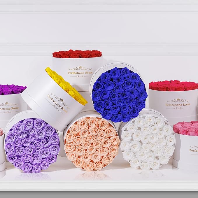 Perfectione Roses 27 Roses in a Box, Mothers Day Rose, Preserved Flowers for Her, Flowers for Delivery Birthday Gifts for Women (Dusty Rose)