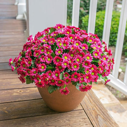 Daisy Artificial Flowers for Outdoors Winter Decoration, 6 Bundles Fake Mums Dark Red Silk Flowers for Outside Look Real UV Resistant Faux Flowers Plants for Planter Front Door Home Indoor Porch