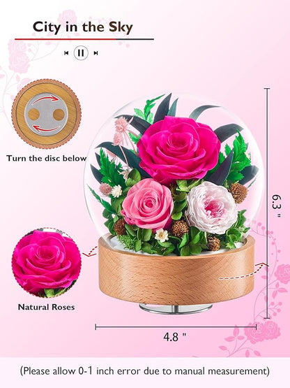 Eterfield Flowers for Delivery Prime, Christmas Preserved Roses Gifts for Women - Forever Flower in Glass Dome Birthday Gifts for Mom Wife Grandma Her Valentine’s Day (Hot Pink, Sphere)