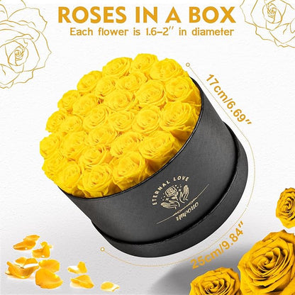 Forever Flowers 27 Roses in A Box, Real Preserved Roses, Birthday Gift for Women, Mother's Day, Anniversary Day - Yellow Rose