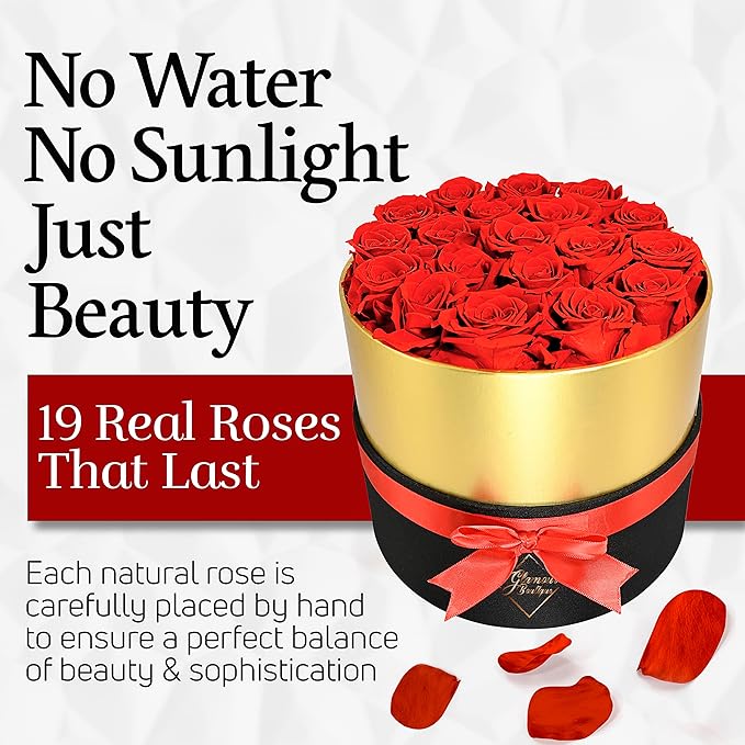 GLAMOUR BOUTIQUE Eternal Preserved Roses in a Box - Flowers Forever, Rose Forever in a Box for Wife, Birthday Gifts for Her, 19 Roses, Red