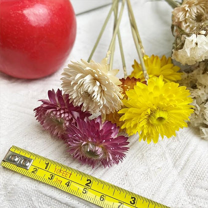 L'BREVOGA Dried Flower Bouquets, 16 pcs 100% Natural Daisy Strawflower for Decoration Home Party - Pink & White