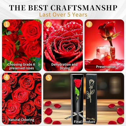 Red Single Forever Roses in a Box,Preserved Flowers for Delivery,Preserved Rose Gifts for Women, Real Roses Gift for Her, Mom Birthday Gifts, Mothers Day Flowers,Valentines Flowers