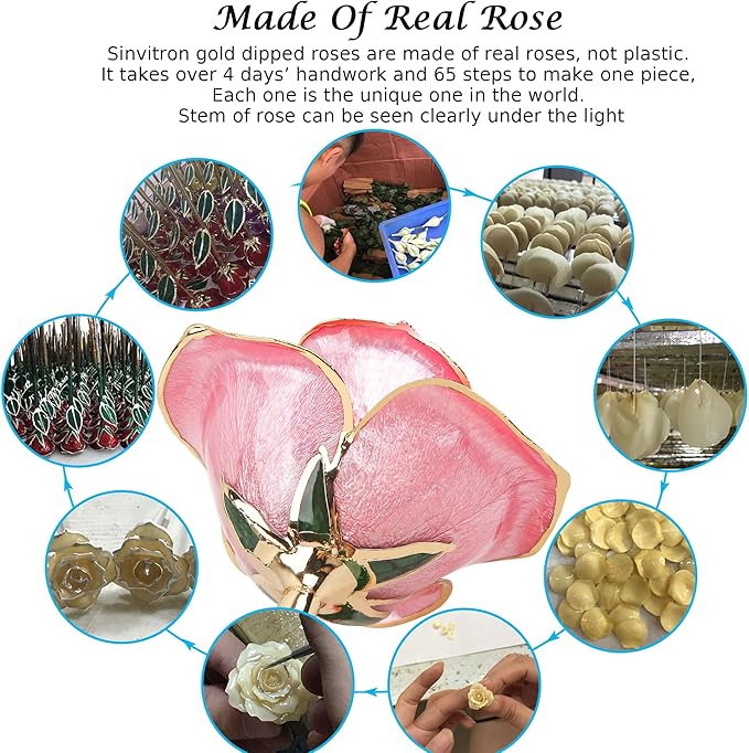 Sinvitron Gold Dipped Infinity Rose Forever Flower Decor, Resin Preserved Real Rose Birthday Gift for Women, Anniversary Present for Mom (Sweet Pink)