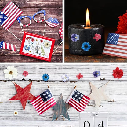 Nuanchu 167 Pcs Real Dried Pressed Flowers Natural Dried Flowers Colorful Daisy Mixed Wildflowers Leave for DIY Candle Resin Nails Jewelry Pendant Crafts Floral Art (Multicolor,Formal Style)