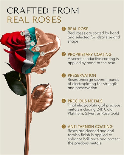 Forever Rose Real Rose Dipped in Rose Gold, Handcrafted Preserved Rose in Bloom Box and Phantom Vase, Romantic Gift for Her, Elegant Keepsake for Anniversary, Birthday, or Any Special Occasion