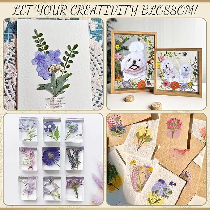 GTQYYF Large Flower Press Kit 10.8 x10.8 inches with Storage Bag,Solid Wood Flower Press Kit - DIY Arts and Craft Kit 10 -Layers, Ideal Gift for Flower & Plant Lovers