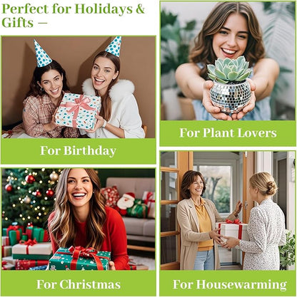 Luditek 6 Pcs Disco Ball Vase, Mirror Disco Ball Decor for Wedding Table Centerpieces, Glass Planter Party Decorations for Christmas Home Birthday Flowers Plant Lover Unique Gifts