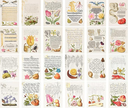 Large Stickers 24 pcs (2.5"x3.5" Each) Antique Calligraphy Book Illustration Vintage Postcards Retro Greeting Card Reprint