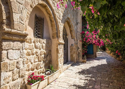 17x10ft Fabric Old Stone Street Backdrop Jerusalem Ancient Narrow Street with Blooming Flowers Israel Background Ancient Stone Wall Backdrop Photoshoot Studio Props