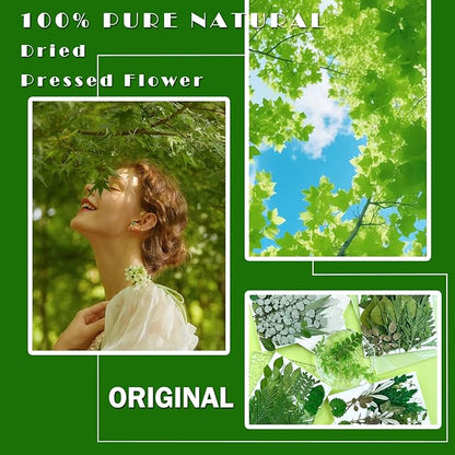 84Pcs Pressed Dried Leaves for Resin Molds, Assorted Real Natural Bulk Dry Flowers for DIY Art Crafts, Epoxy Jewelry, Candle, Soap Making, Nails Decors Gifts