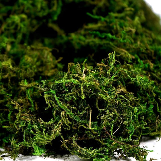 BYHER Artificial Moss Fake Green Grass for Centerpieces Home Kitchen Garden Decor (8OZ, Fresh)