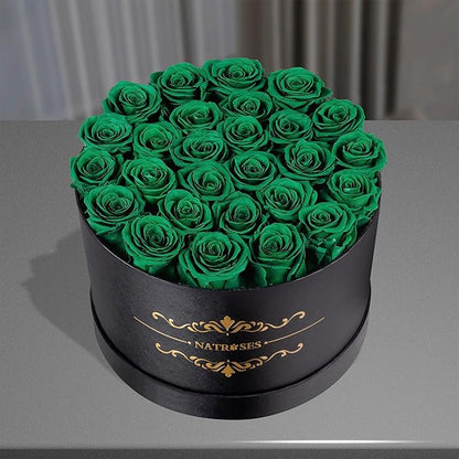 NATROSES 27 Piece Forever Preserved Roses in a Box, Preserved Flowers for Delivery Birthday, Flowers Gifts for Mothers Day, Forest Green