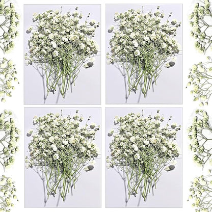 CONVELIFE Dried Babys Breath White, 48pcs Dried Flowers for Resin Pressed from Natural Flowers, Natural Pressed Flowers for Wedding Resin Art Craft DIY Card Making Home Party Decor (White)