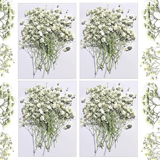 CONVELIFE Dried Babys Breath White, 48pcs Dried Flowers for Resin Pressed from Natural Flowers, Natural Pressed Flowers for Wedding Resin Art Craft DIY Card Making Home Party Decor (White)
