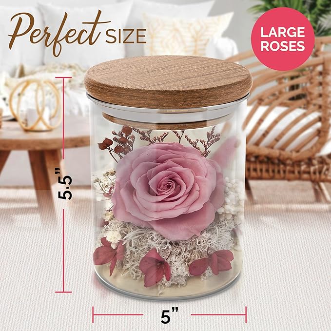 Pink Rose in a Glass Dome - Premium Real Roses That Last a Year or More - Mother's Day Unique Gifts for Her Preserved Roses - Forever Flower Decor Preserved Flowers - Eternal Rose Display