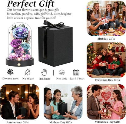 Birthday Gifts for Women Purple Preserved Flowers in Glass Dome Forever Flowers for Delivery Prime, Colorful Forever Roses Anniversary Valentines Day Mothers Day for Her Mom Wife