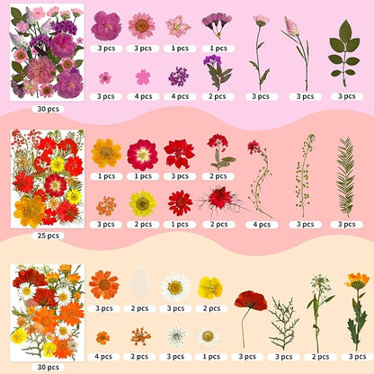 207 Pcs Dried Pressed Flowers for Crafts, Dried Pressed Flowers for Resin, Bulk Natural Dried Flowers Kit with Butterfly Stickers&Tweezers for DlY Resin Molds, Candles, Soap,Jewelry Making, Art Crafts